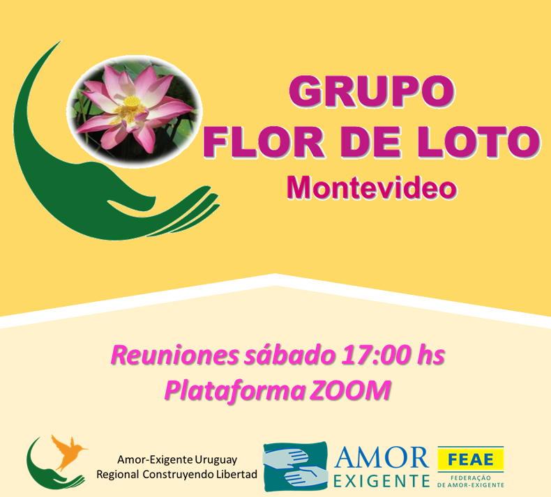 Grupos Online
